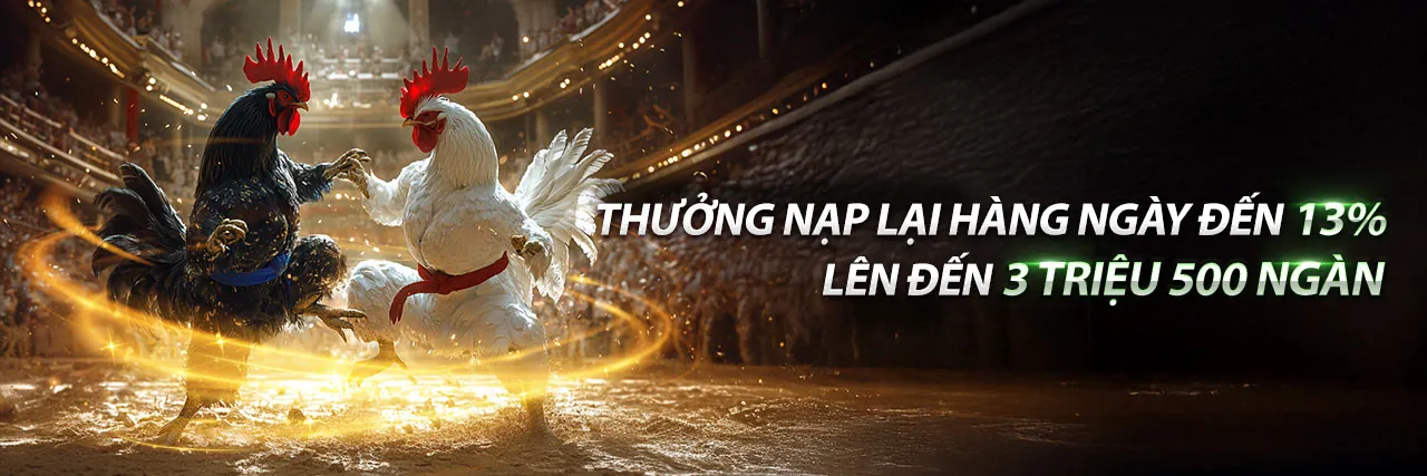 Chương trình đối tác G088 khuyến mãi với hoa hồng hấp dẫn
