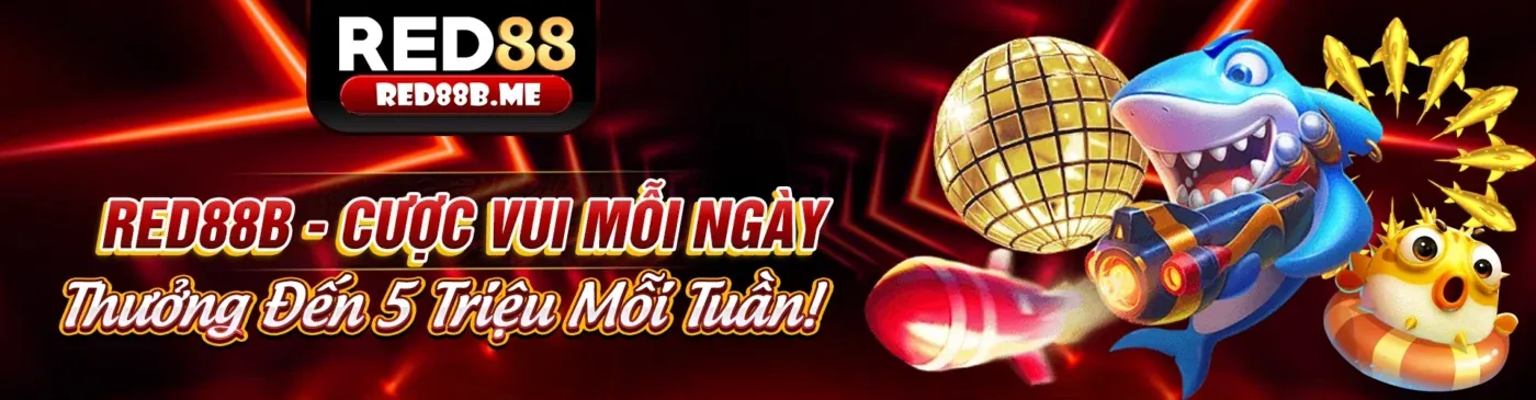 G088 Khuyến Mãi 2026