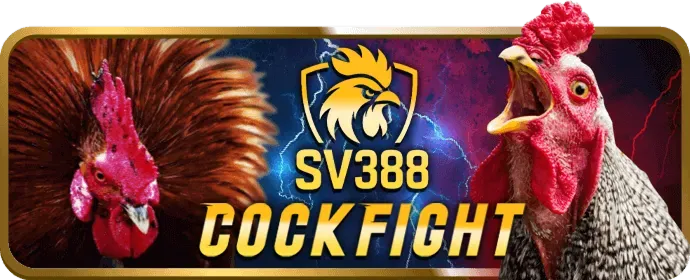Cá cược bóng rổ G088